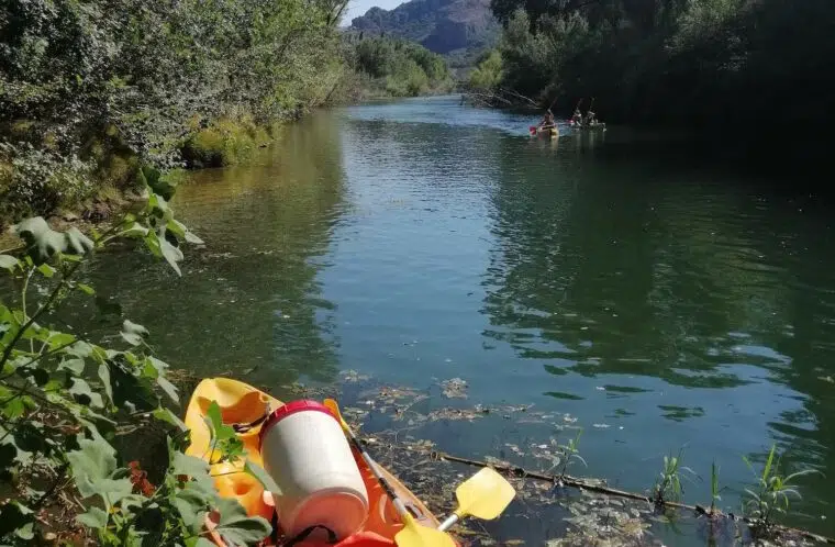 Collecte active planet kayak