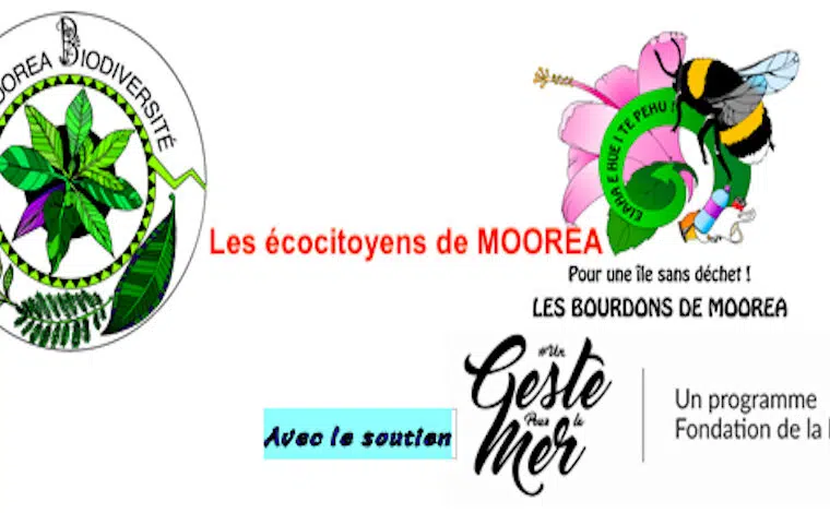 event image 1590342242 avec les bourdons de moorea
