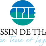 organization logo 1579874708