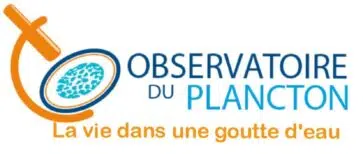 organization logo 1694527508 observatoire du plancton