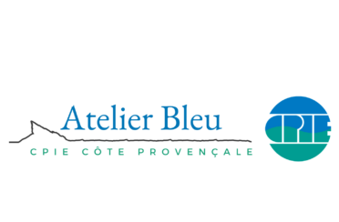 organization logo 1695205906