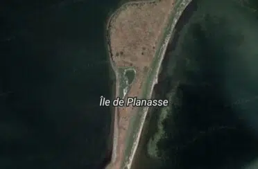 event image 1702496813 ile aux oiseaux