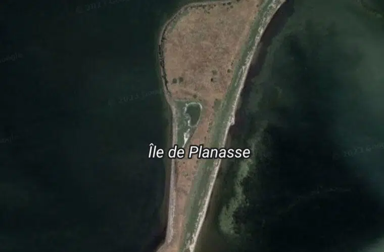 event image 1702496813 ile aux oiseaux