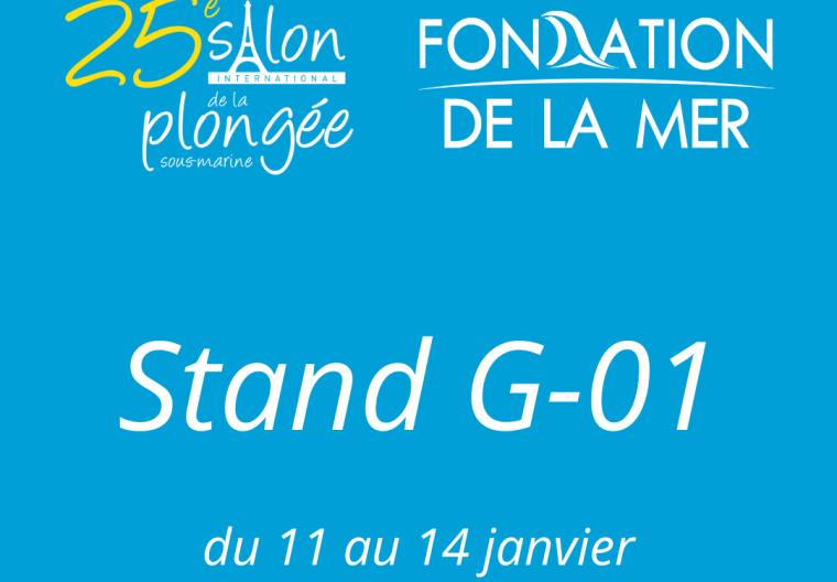 PUBLICATIONS 40