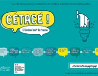 cetace interactif