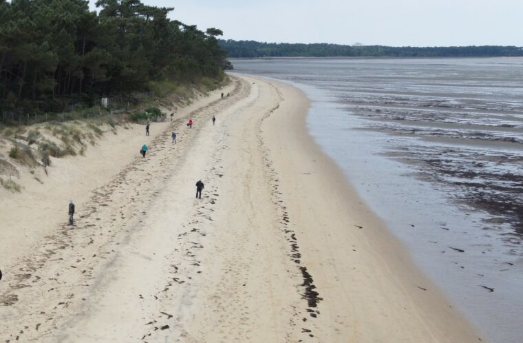 event image 1707588035 collecte de dechets plage de la cepe ronce les bains 17