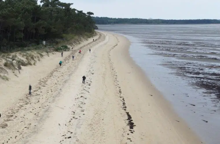 event image 1707588035 collecte de dechets plage de la cepe ronce les bains 17