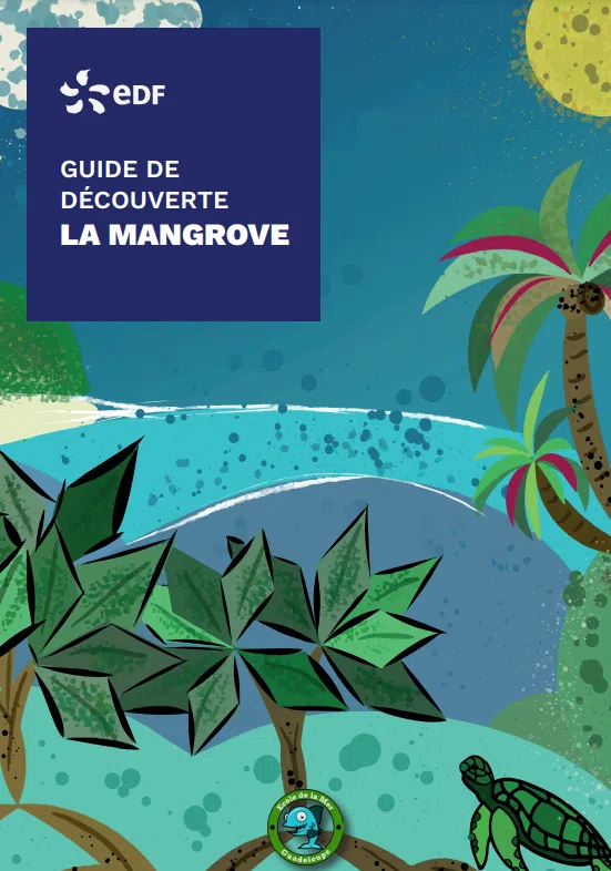 guide