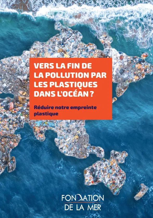 pollution