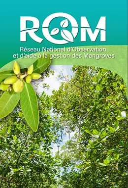 presentation rom
