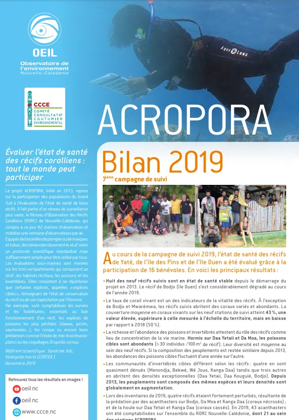 acropora
