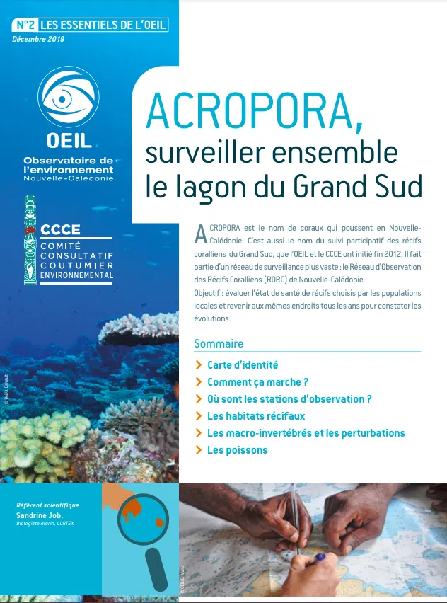 brochure