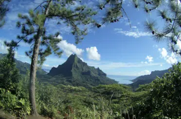 event image 1713149981 moorea sans dechets