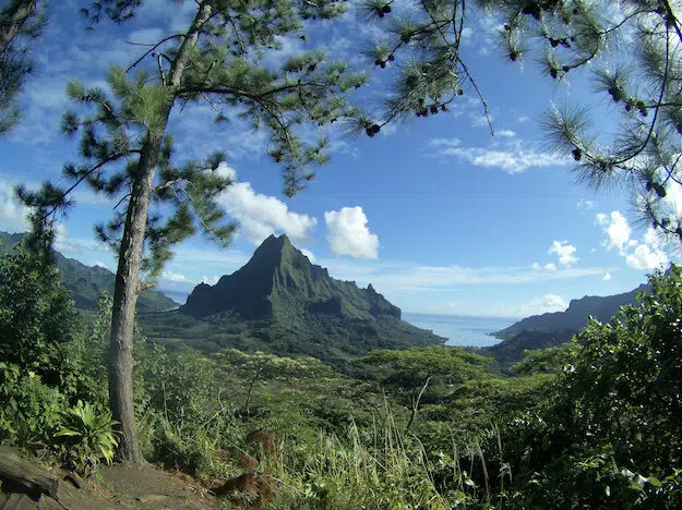 event image 1713149981 moorea sans dechets