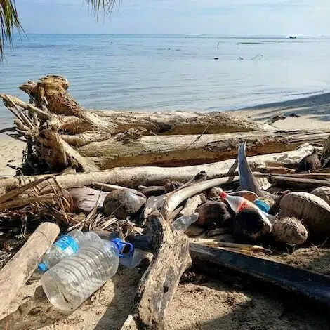event image 1713150049 moorea sans dechets