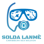 organization logo 1709390124 solda lanme
