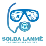 organization logo 1709390124 solda lanme