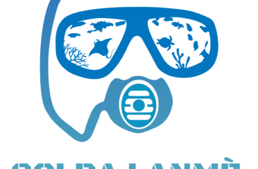 organization logo 1709390124 solda lanme