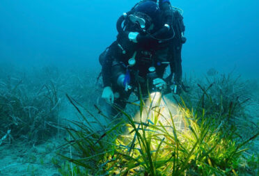 Copyright Andromède Océanologie