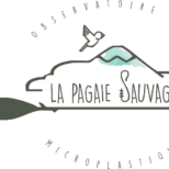 Logo_PAGAIE
