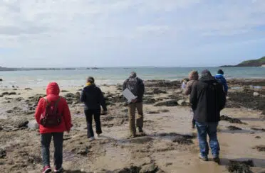 Sorties-fondation-de-la-mer