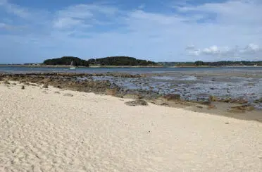 FDLM_Ile-Grande