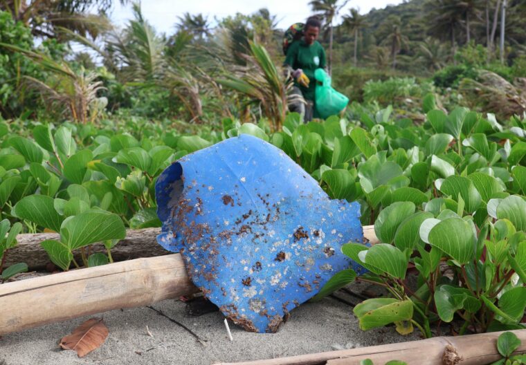 Sac plastic dans l'environnement