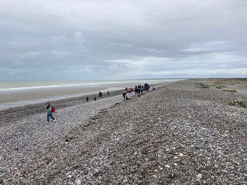enfants_sur_plage_ramassage
