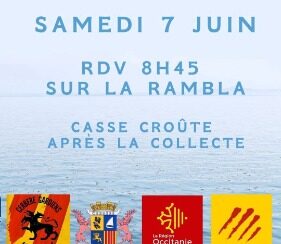 FB_IMG_1748603269073