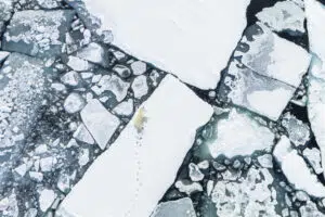 FLOLED27-1920x1280