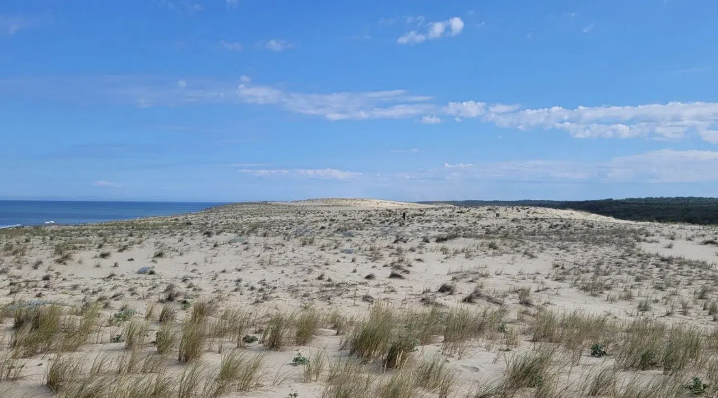 Sentier dune Porge ©ONF