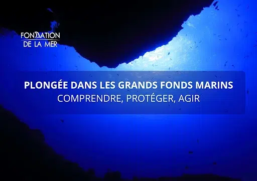 visuel grands fonds marins