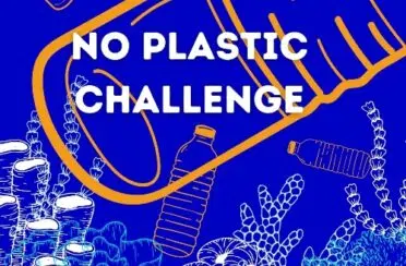 No-Plastic-Challenge2