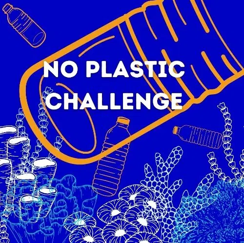No-Plastic-Challenge2