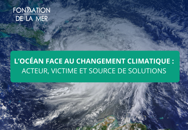 webinaire changement climatique