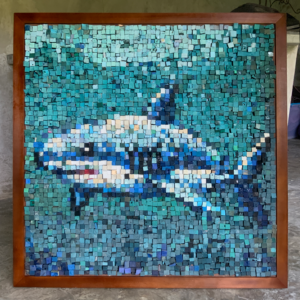 Plastic-Oceans-Shark-HD