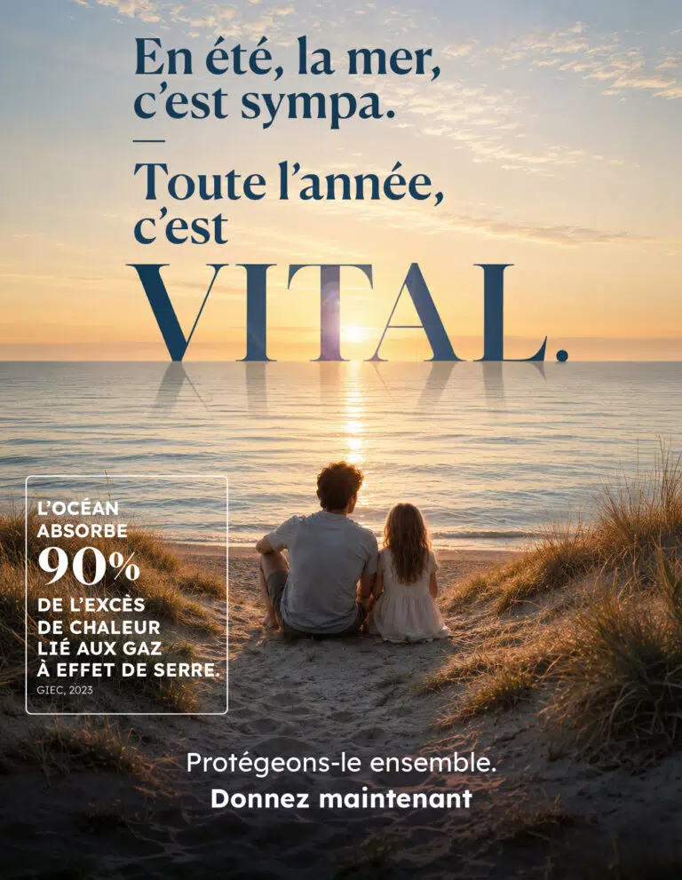 FDM-PP-site