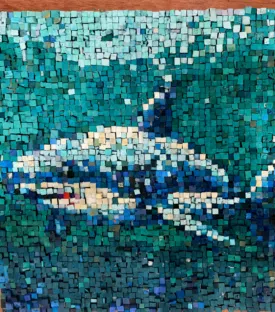 Requin recyclé image 1