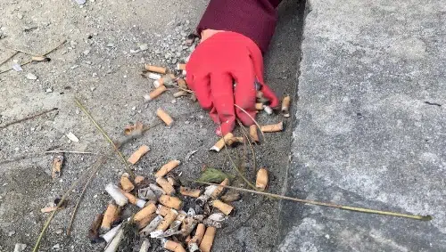 ramassage_friche_trashpotter