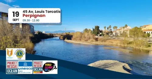 AFFICHE-PERPIGNAN