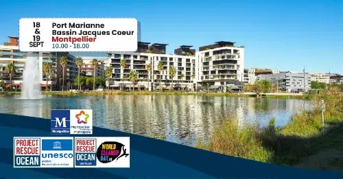 AFFICHE-PRO-ACTION-MONTPELLIER