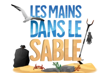 Logo-LMDLS-Principal-SANS-SLOGAN-PNG-1024x975-1
