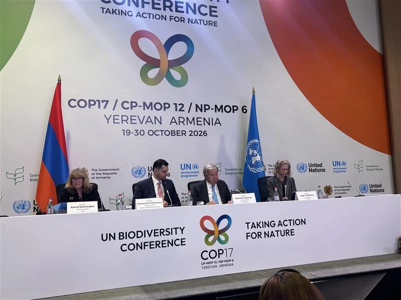 COP17